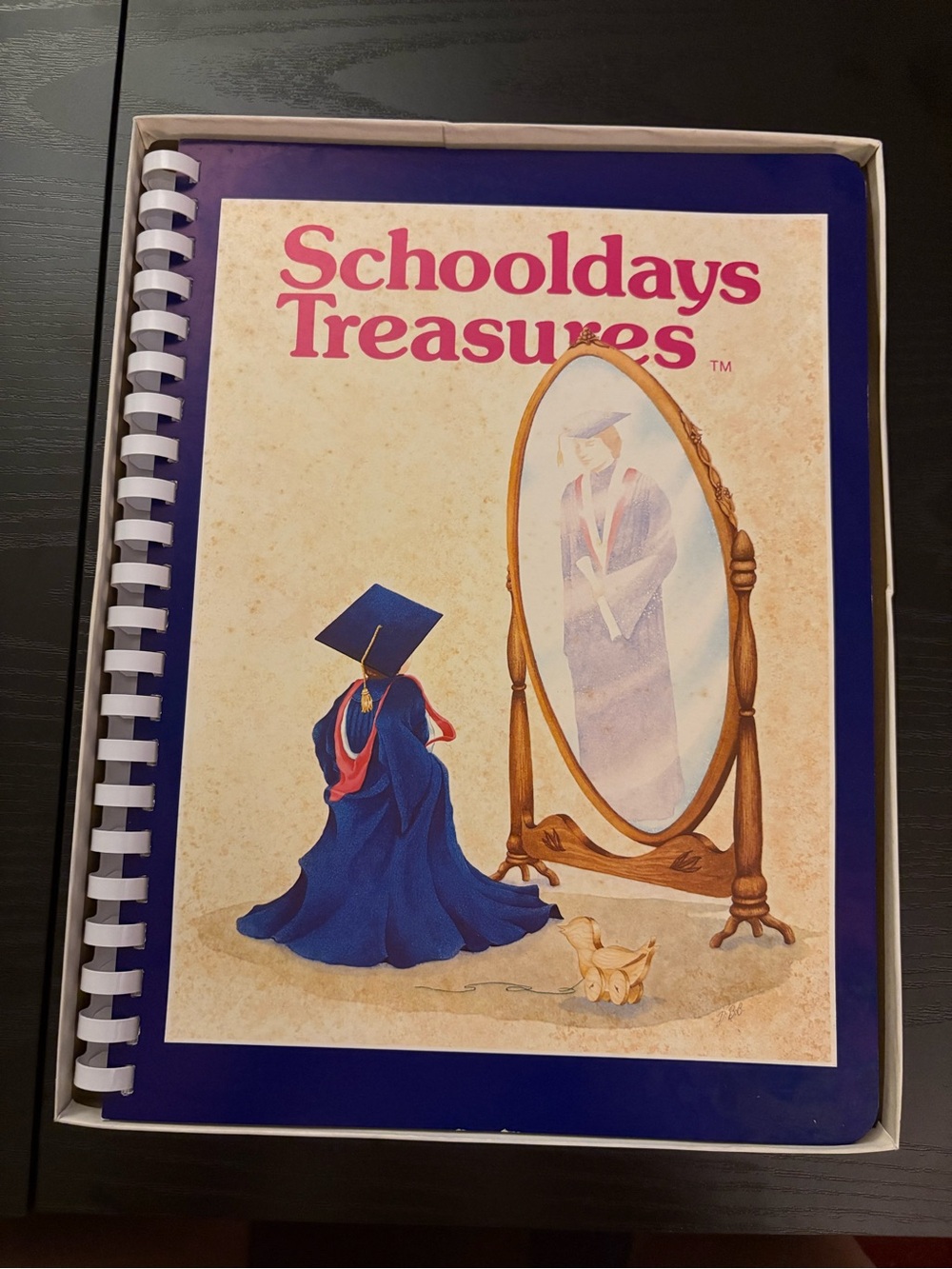Vintage Schooldays Treasures Keepsake Book